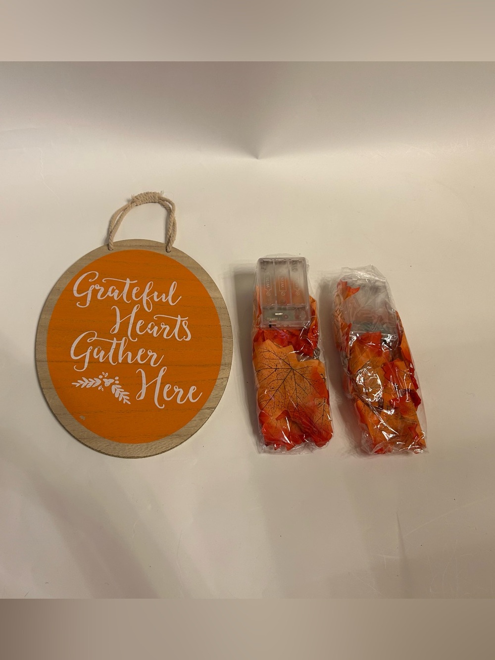 NEW Thanksgiving Decor-sign and Lights